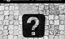 Franchisee e franchisor significato e differenze