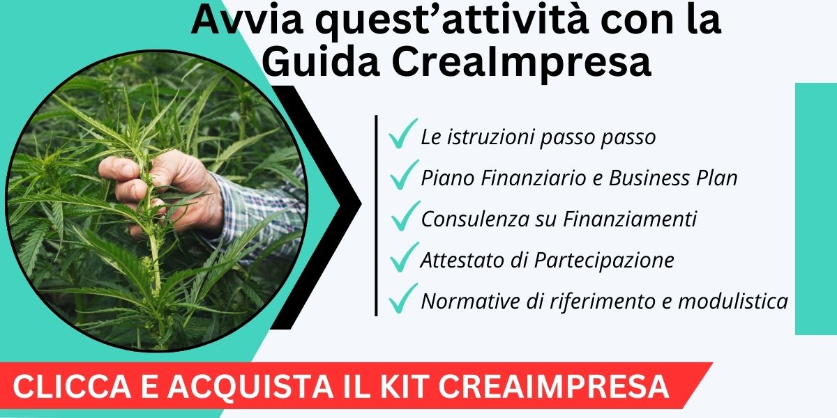 guida coltivazione canapa