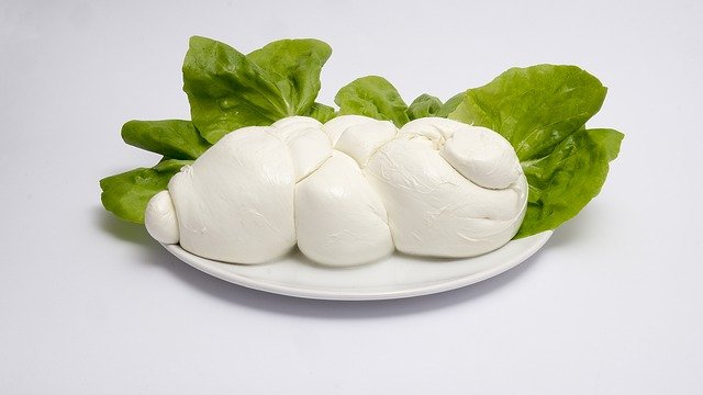 franchising mozzarella di bufala