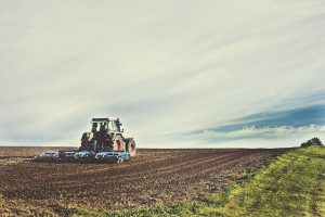 imprenditore agricolo
