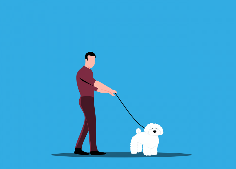 dog sitter