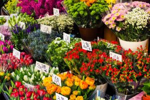 come aprire un negozio di fiori