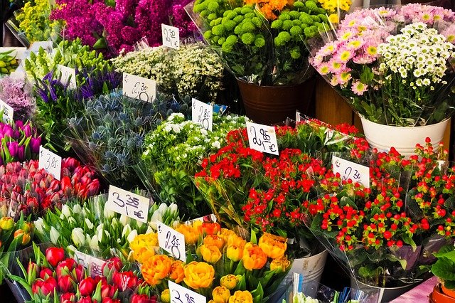 come aprire un negozio di fiori