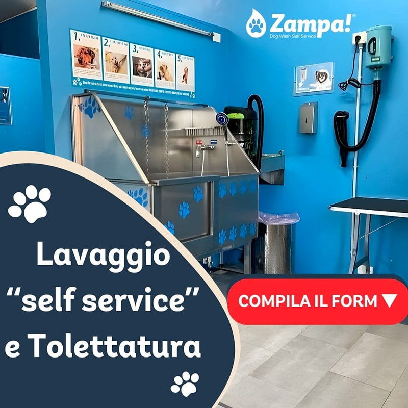 zampa franchising lavaggio self service