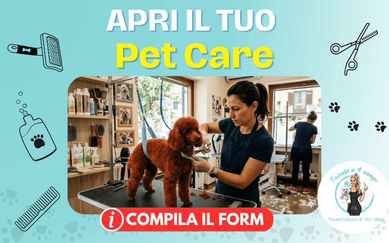 coccole a 4 zampe franchising toelettatura