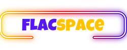flacspace franchising logo